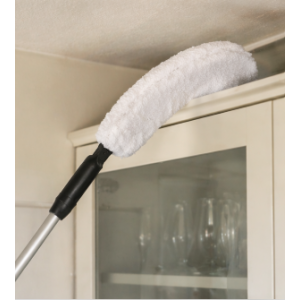 TETE DE DEPOUSSIERAGE TRANSPORMABLE