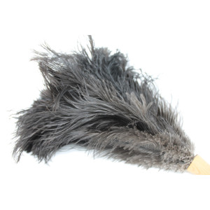 PLUMEAU PLUME D'AUTRUCHE